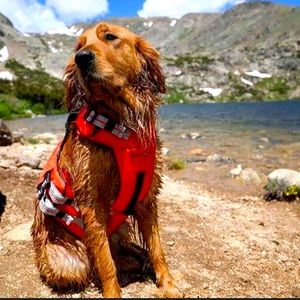 CLEARANCE SALE Backcountry x Petco The Dog Flotation Vest